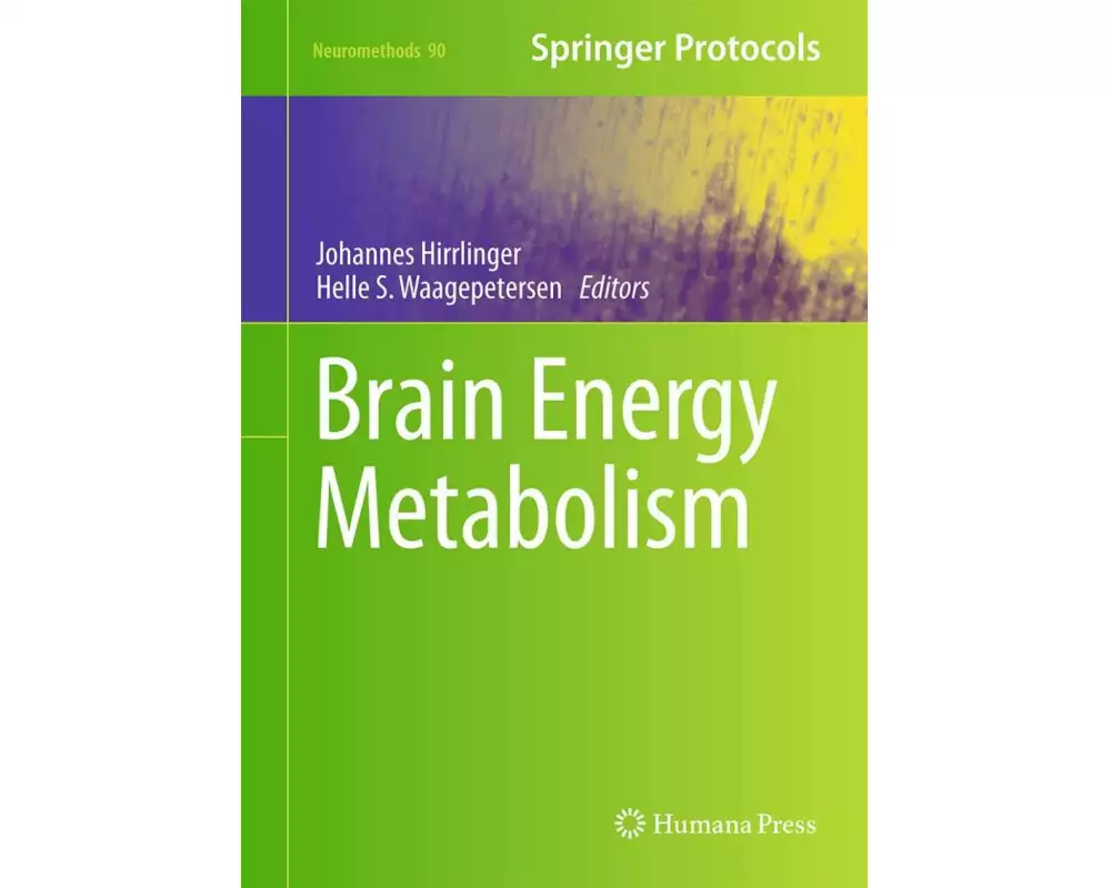 Brain Energy Metabolism