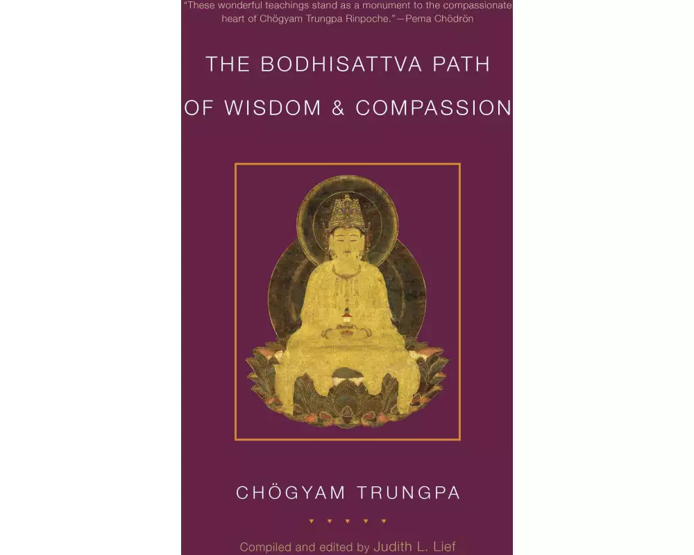 The Bodhisattva Path of Wisdom and Compassion (volume 2)