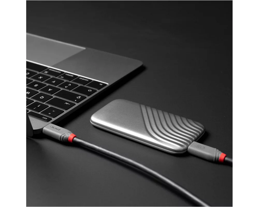 LINDY 1.5m USB 4, 240W, Type C Cable, Anthra Line