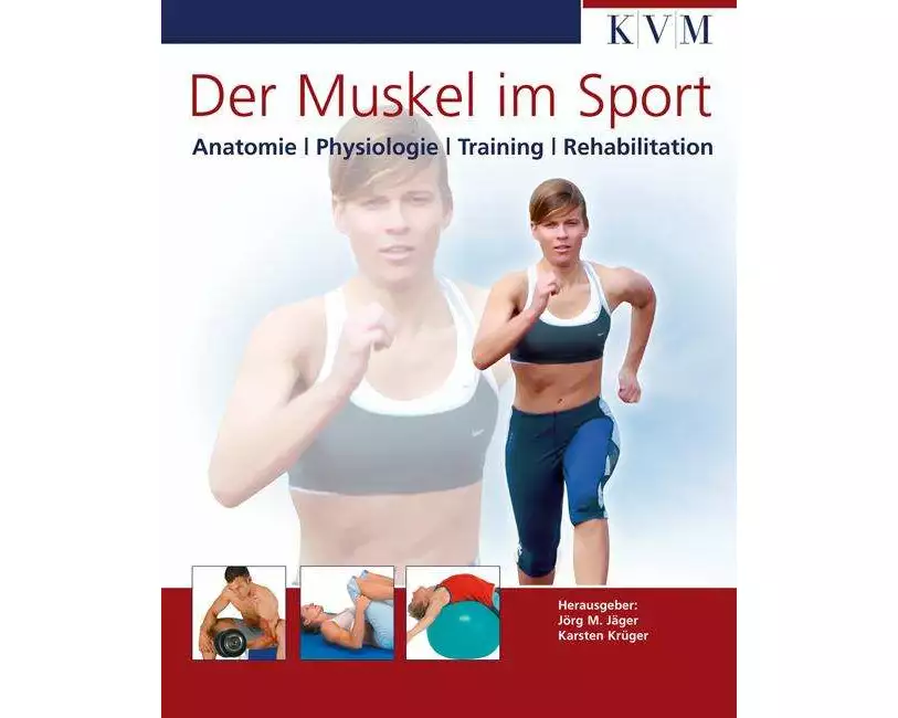 Der Muskel im Sport