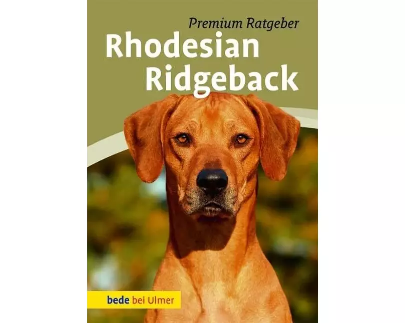 Rhodesian Ridgeback