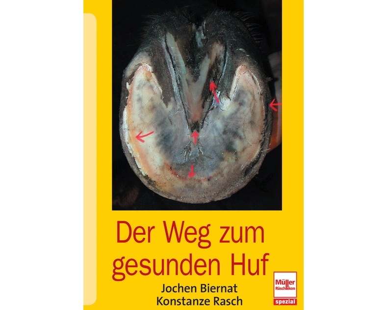 Der Weg zum gesunden Huf