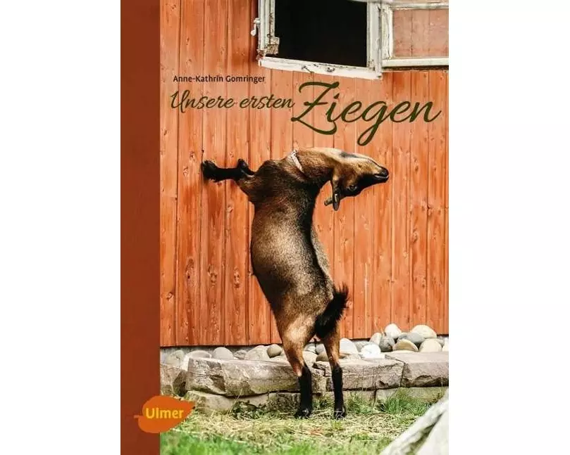 Unsere ersten Ziegen