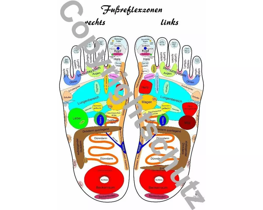 Fußreflexzonen Übersichtskarte