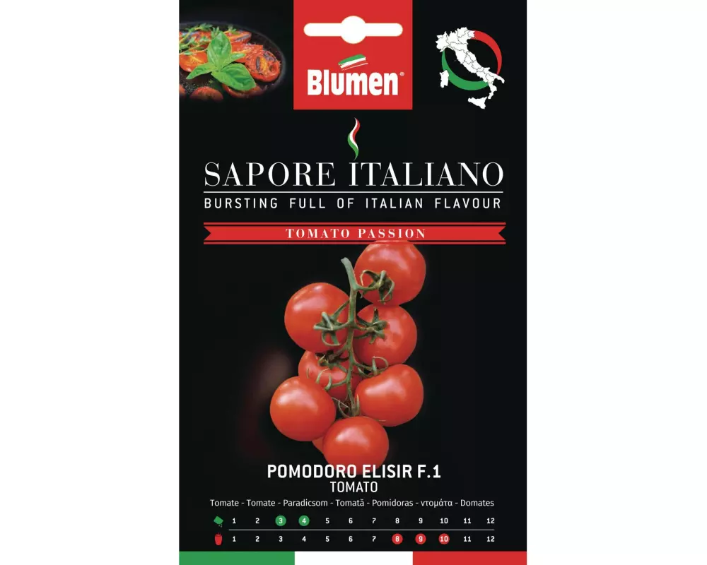 Blumen Samen Tomate Elisir F.1
