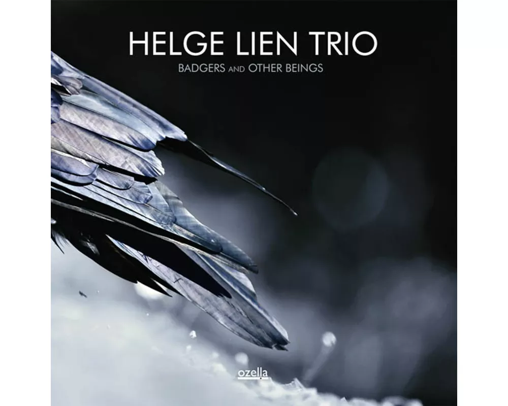 Badgers And Other Beings