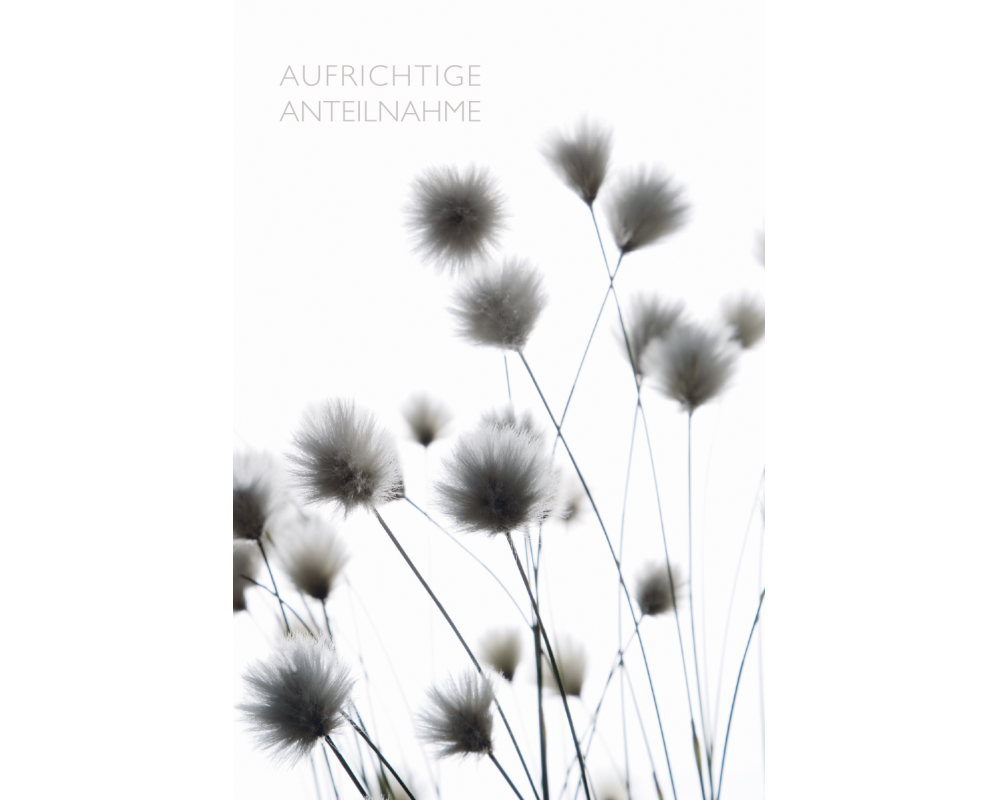 ABC Trauerkarte B6 51950 Schwarze Blüten