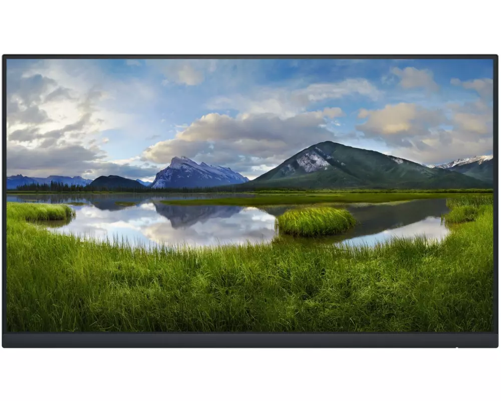 DELL Monitor P2422HE ohne Standfuss