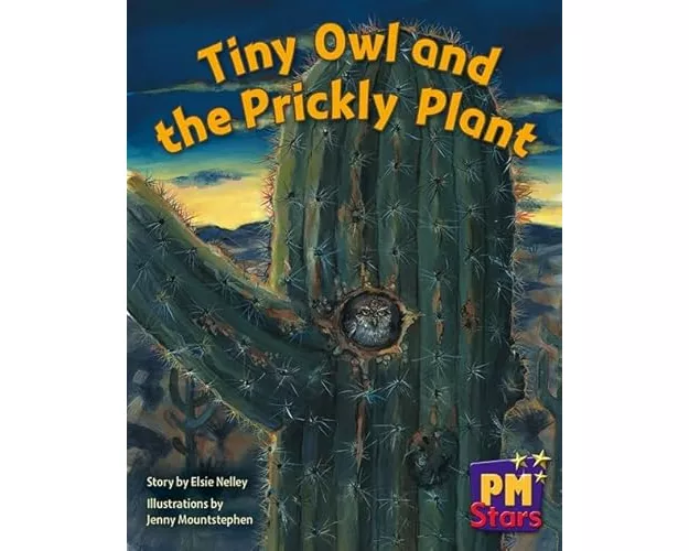 Tiny Owl and Prickly Plant