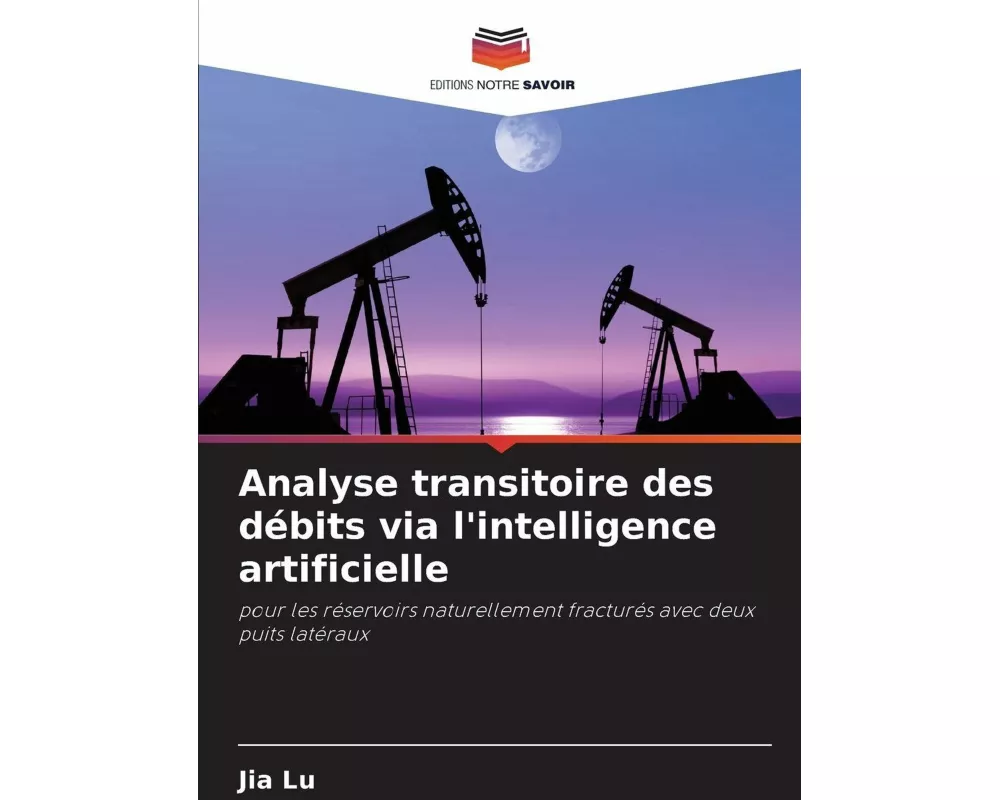 Analyse transitoire des débits via l'intelligence artificielle