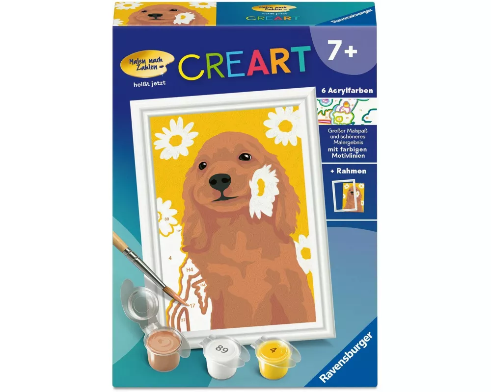 CreArt, Malen nach Zahlen Kinder - Cocker Spaniel Sunny
