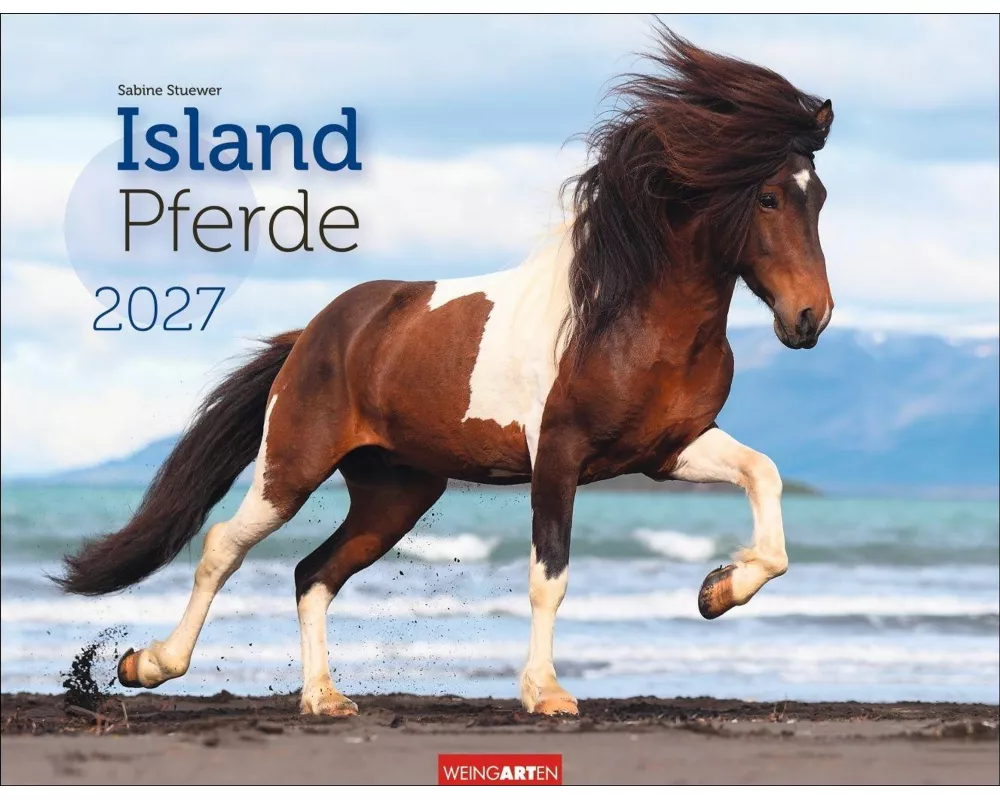 Islandpferde Kalender 2027