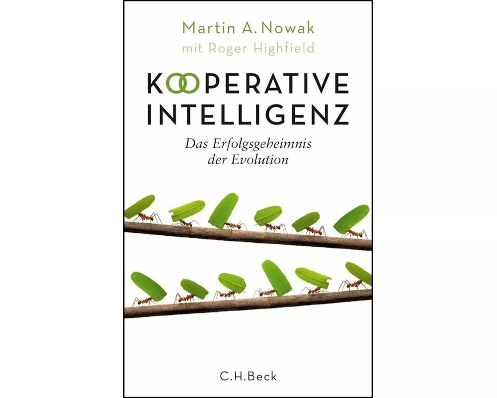 Kooperative Intelligenz