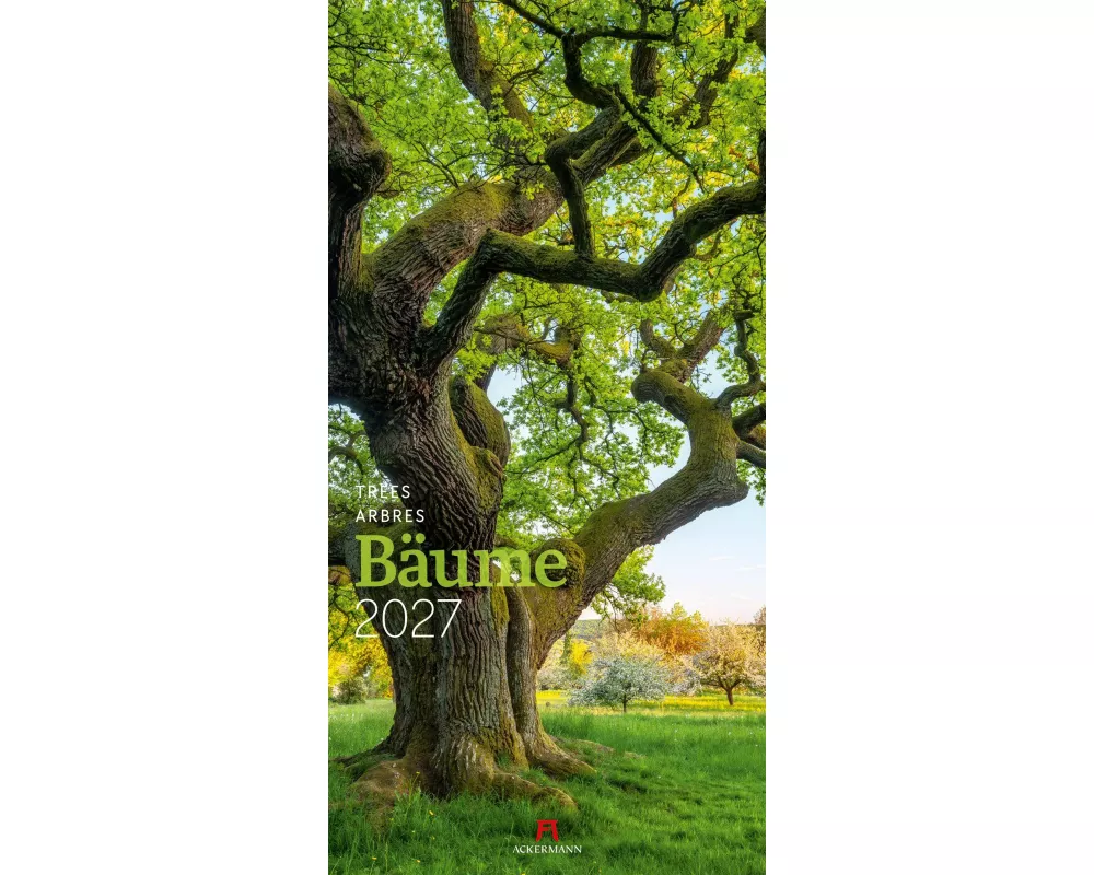 Bäume Kalender 2027