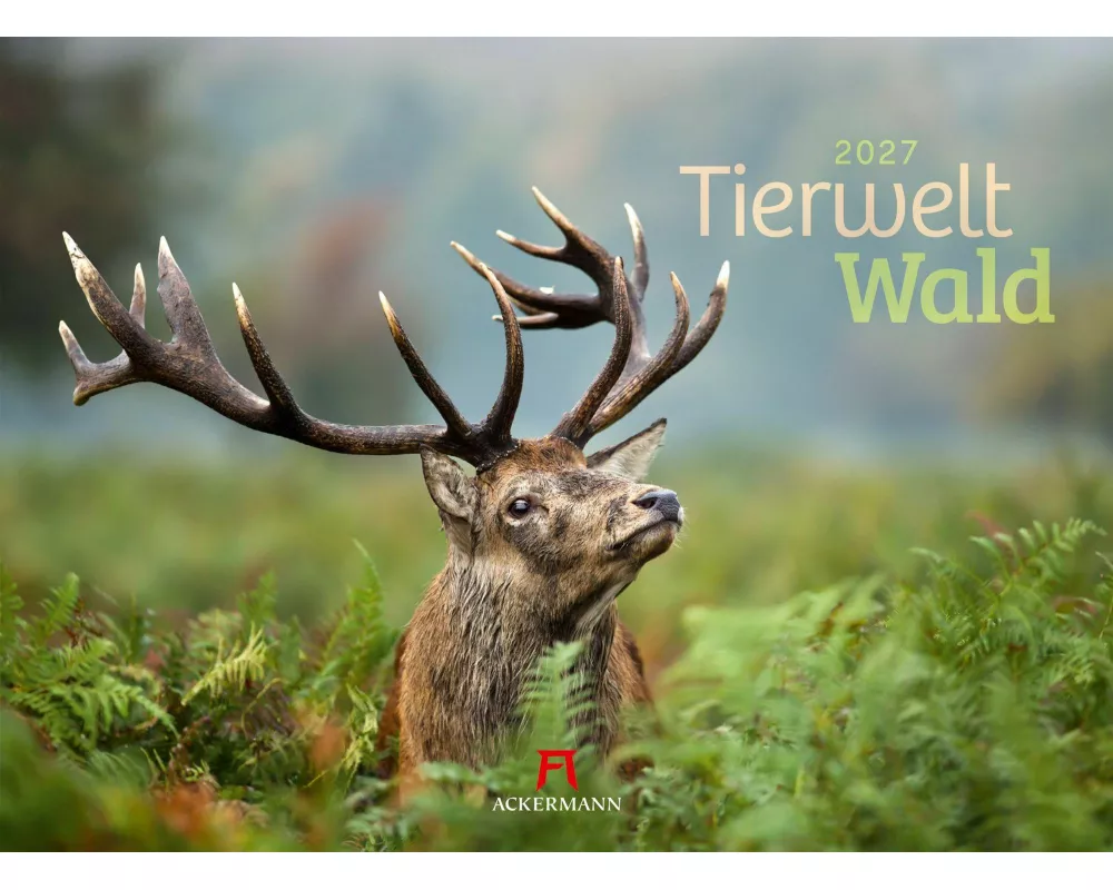 Tierwelt Wald Kalender 2027