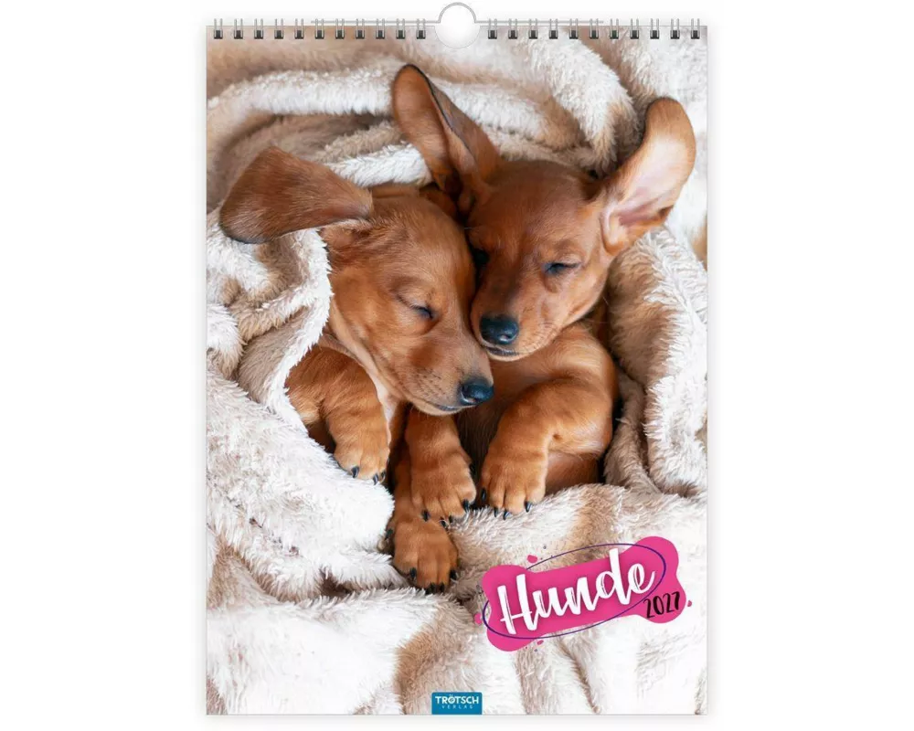 TRÖTSCH - Classickalender Hunde 2027