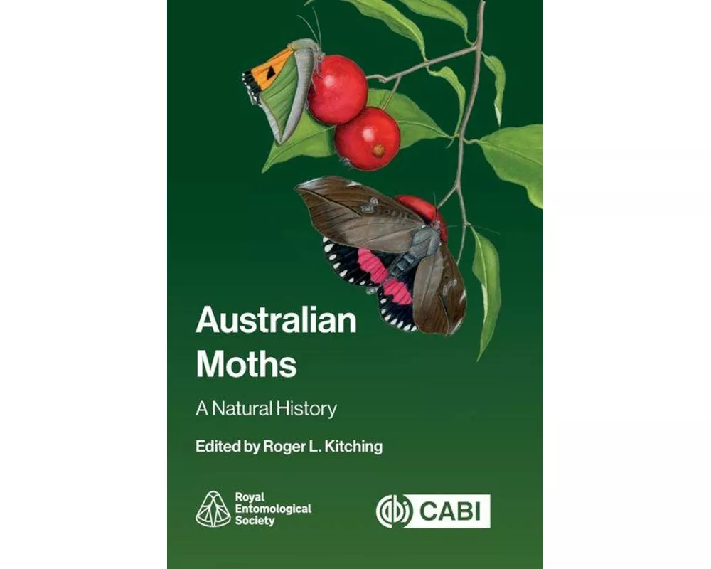 Australian Moths