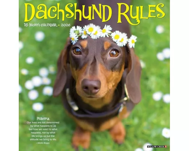 Dachshund Rules 2026 12 X 12 Wall Calendar