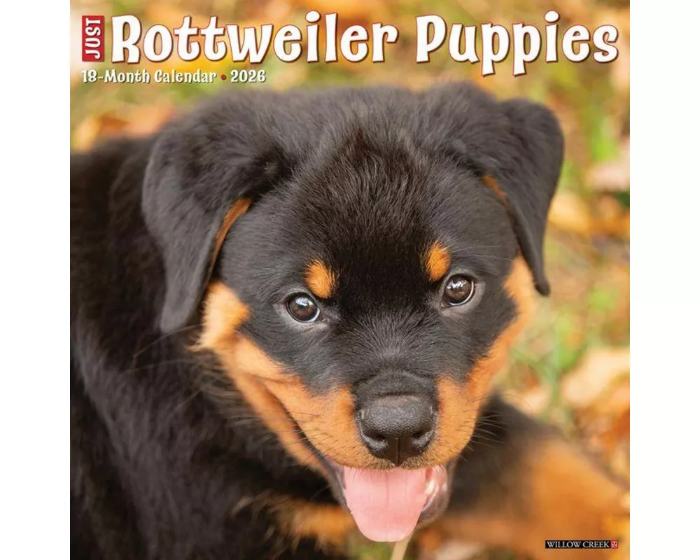 Rottweiler Puppies 2026 12 X 12 Wall Calendar