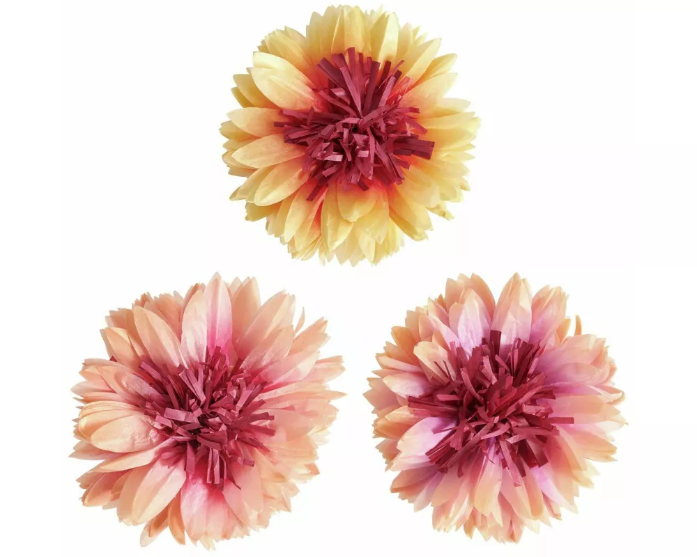 Seidenpapierblumen Sonnenhut, M, FSC MIX