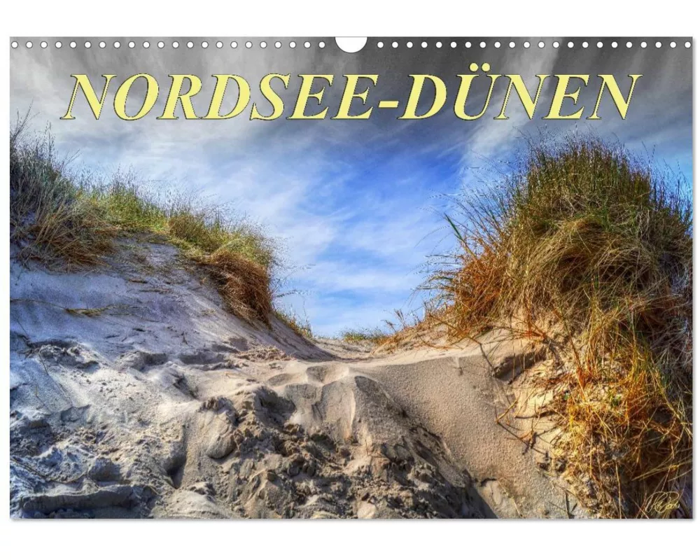 Nordsee-Dünen (Wandkalender 2026 DIN A3 quer), CALVENDO Monatskalender