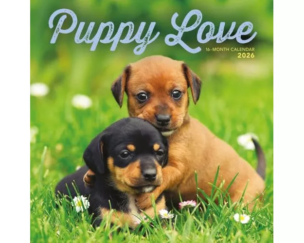 Puppy Love Square Wall Sunday Start Cale