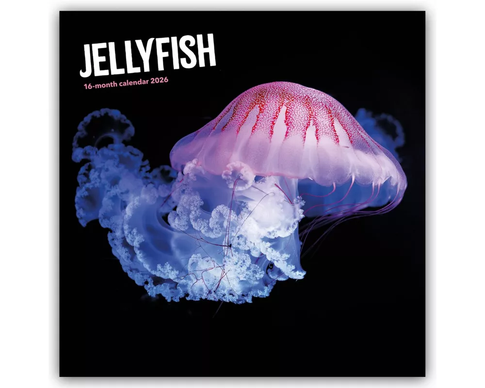 Jellyfish - Quallen 2026 - Wand-Kalender