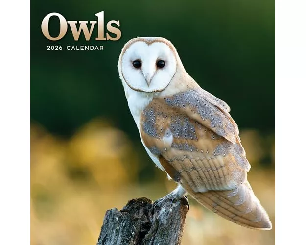Owls Square Mini Calendar 2026