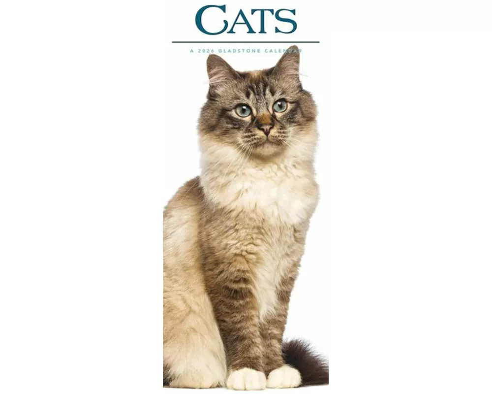 Cats S