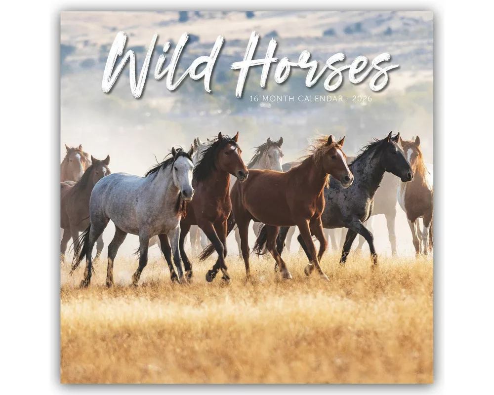 Wild Horses Square Wall Sunday Start Cal