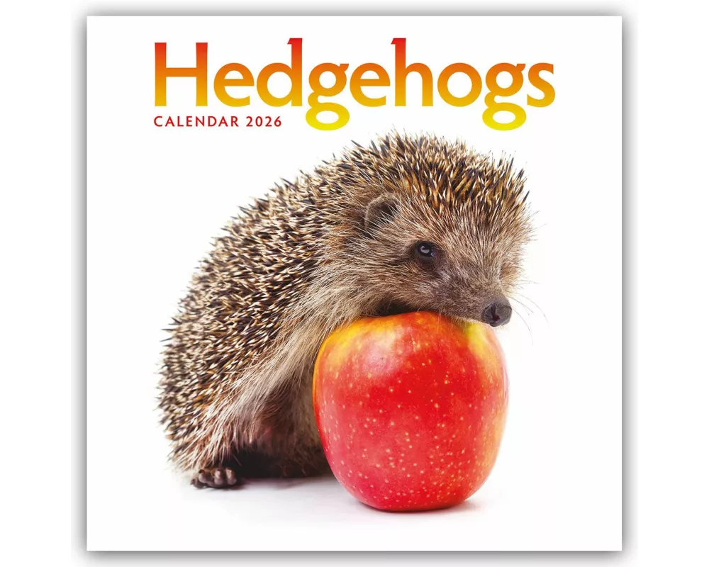 Hedgehogs Square Wall Calendar 2026