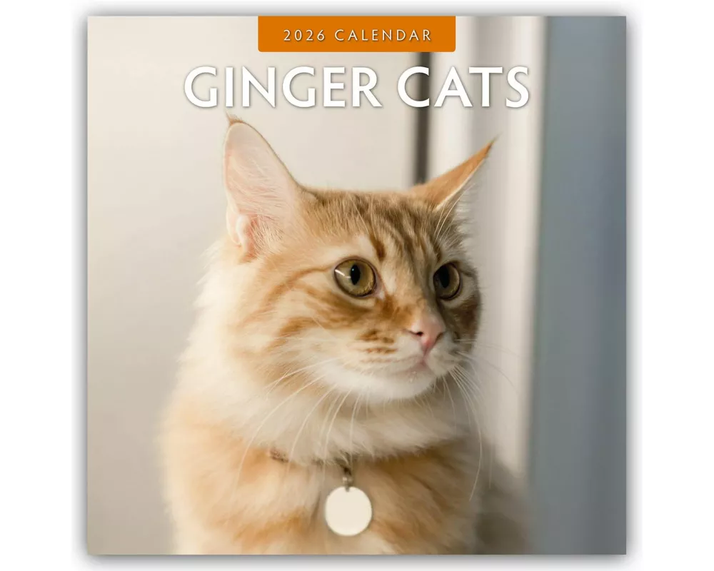 Ginger Cats 2026 Square Wall Calendar
