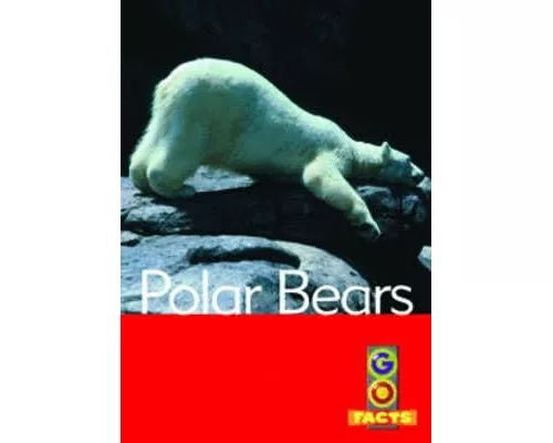 Polar Bears