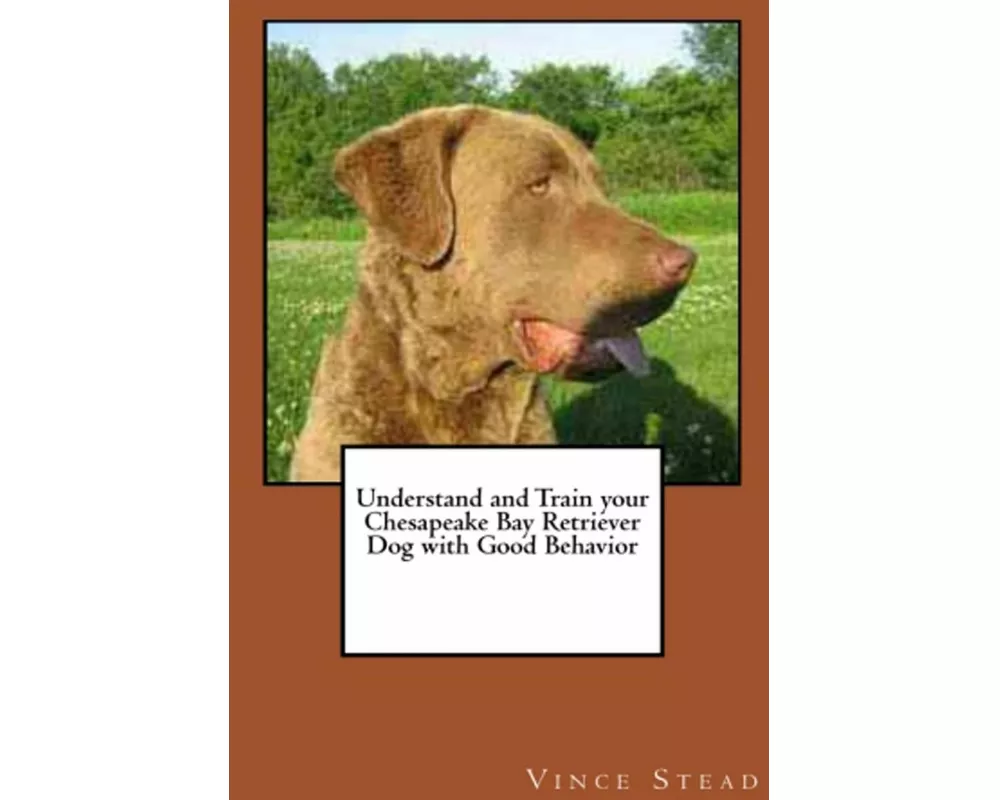 Understand and Train Your Chesapeake Bay Retriever Dog with Good Behavior