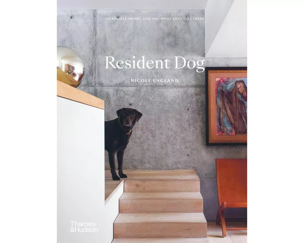 Resident Dog