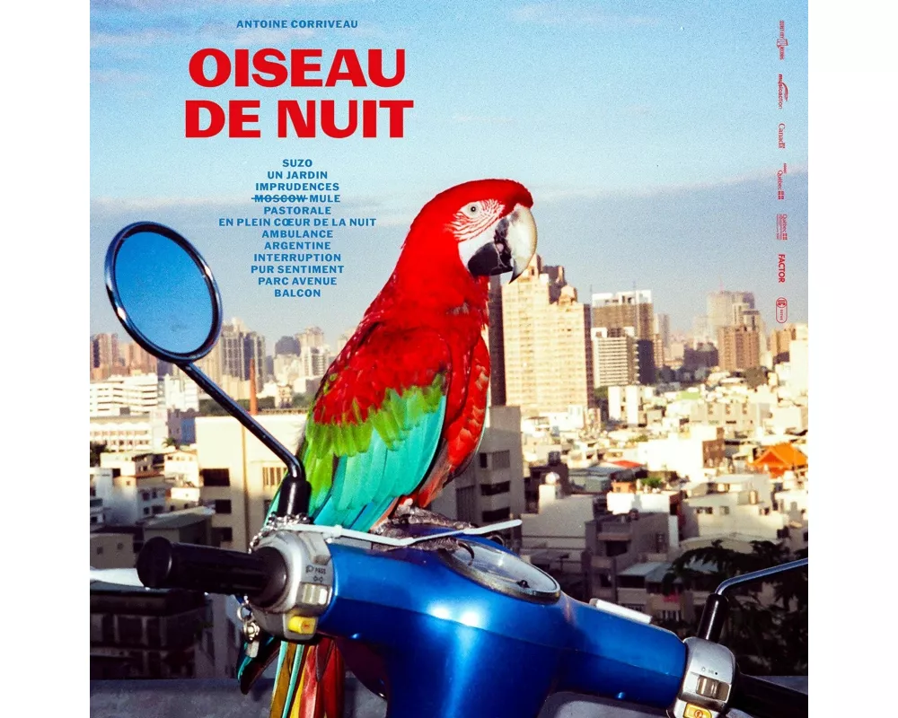 Oiseau de Nuit