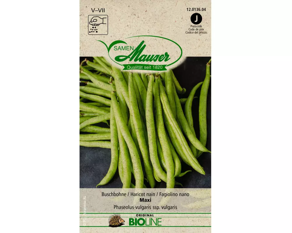 Samen Mauser Samen BIO Buschbohne Maxi