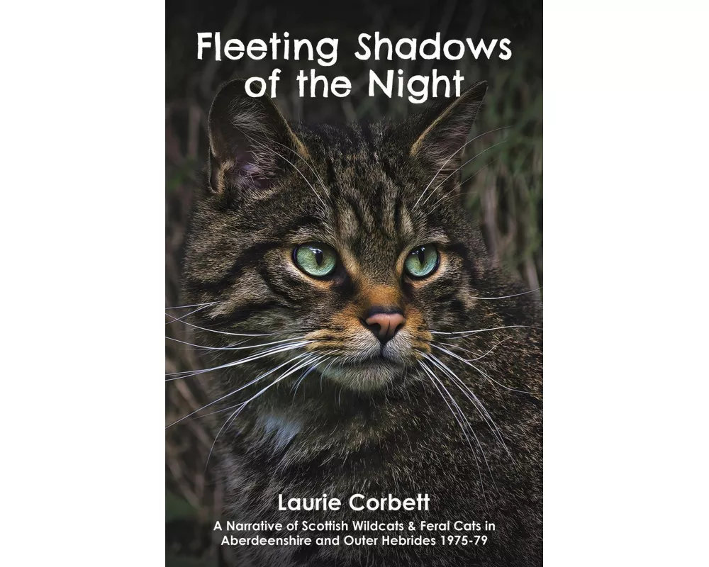 Fleeting Shadows of the Night