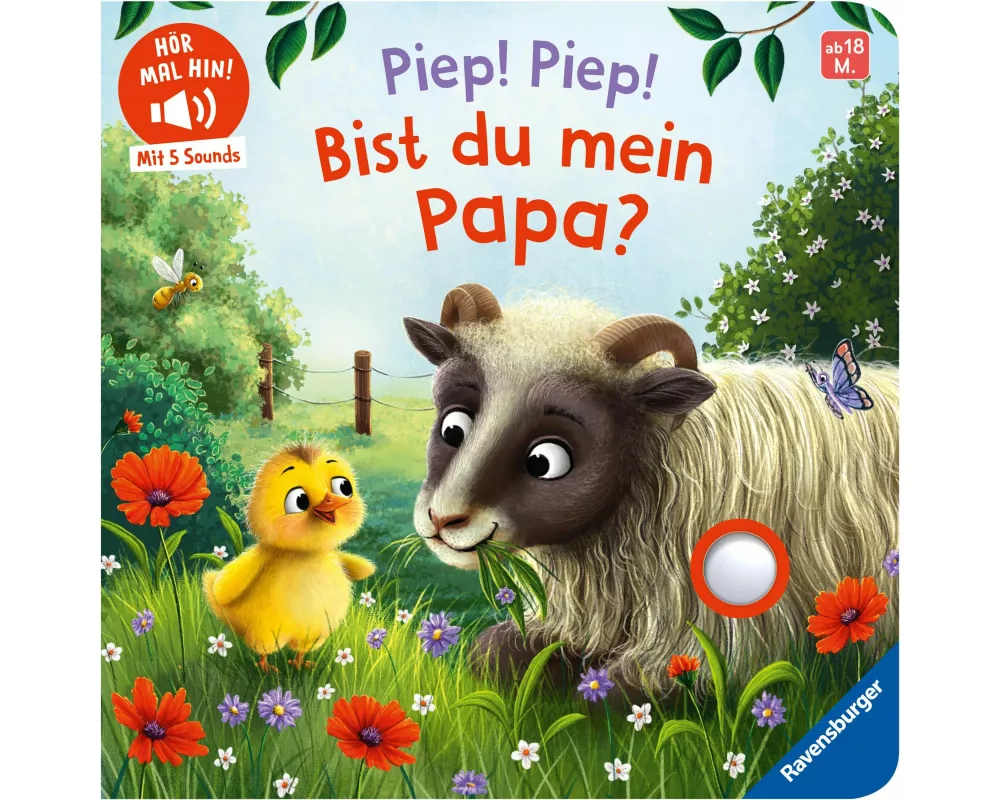 Hör mal hin - Piep! Piep! Bist du mein Papa?