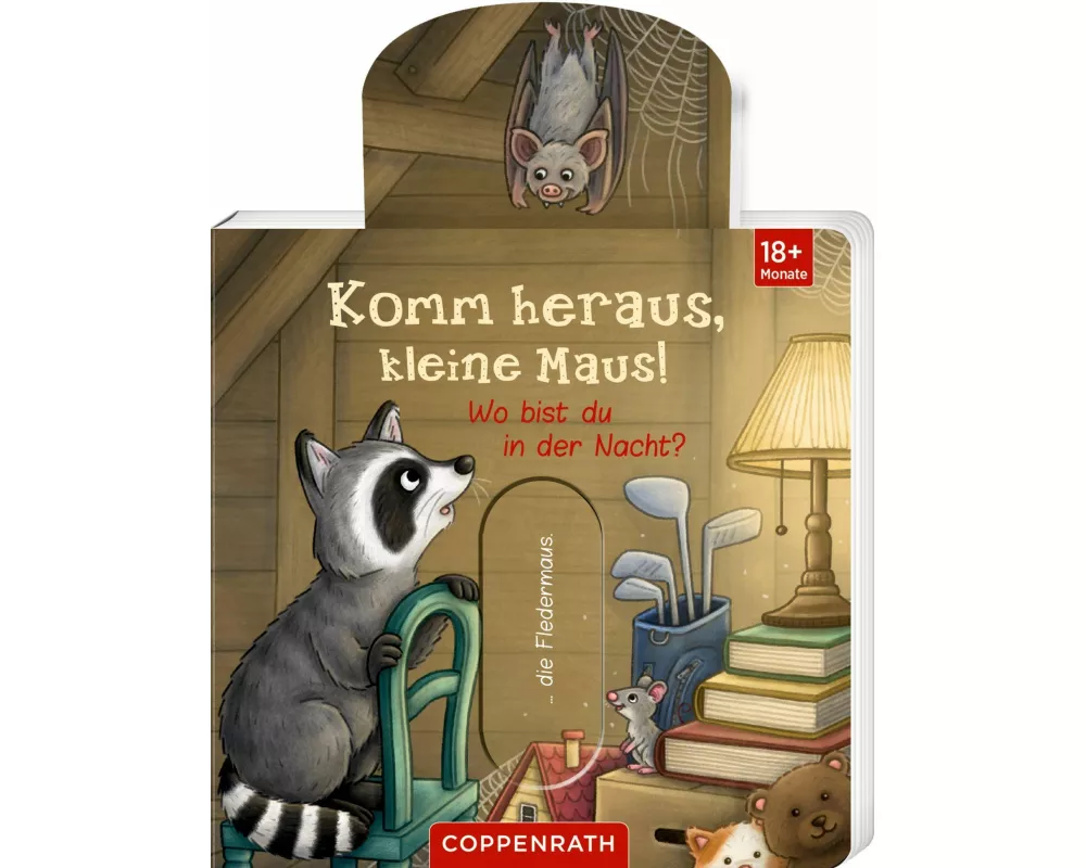 Komm heraus, kleine Maus!: Wo bist du in der Nacht?