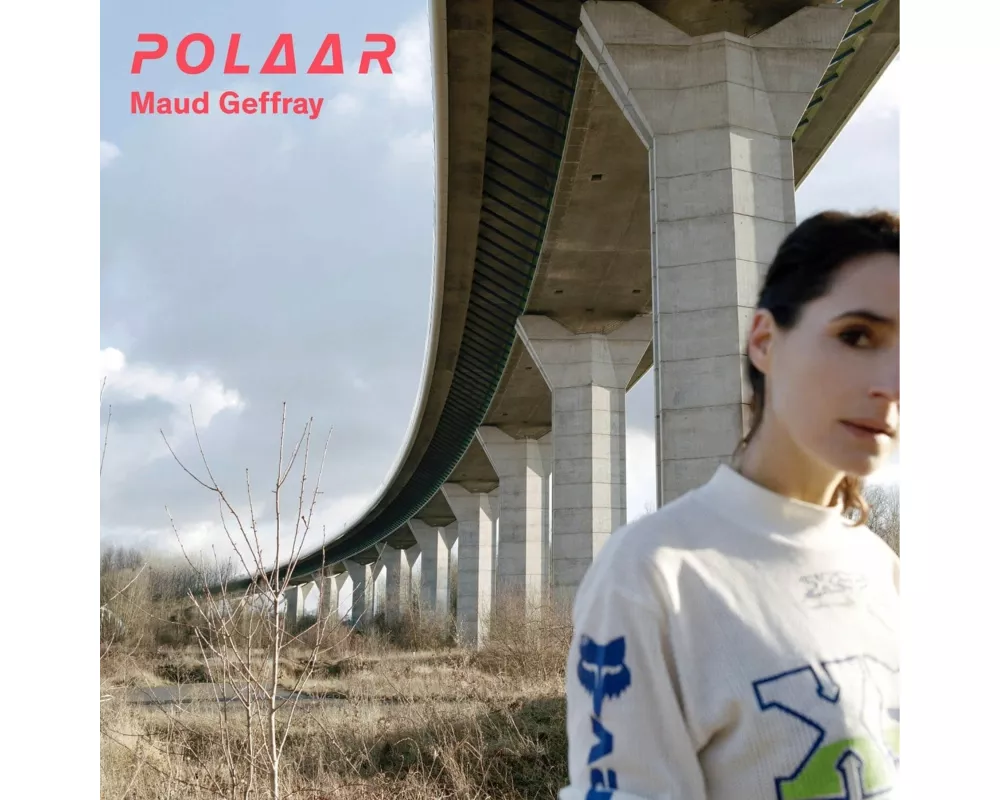 Polaar