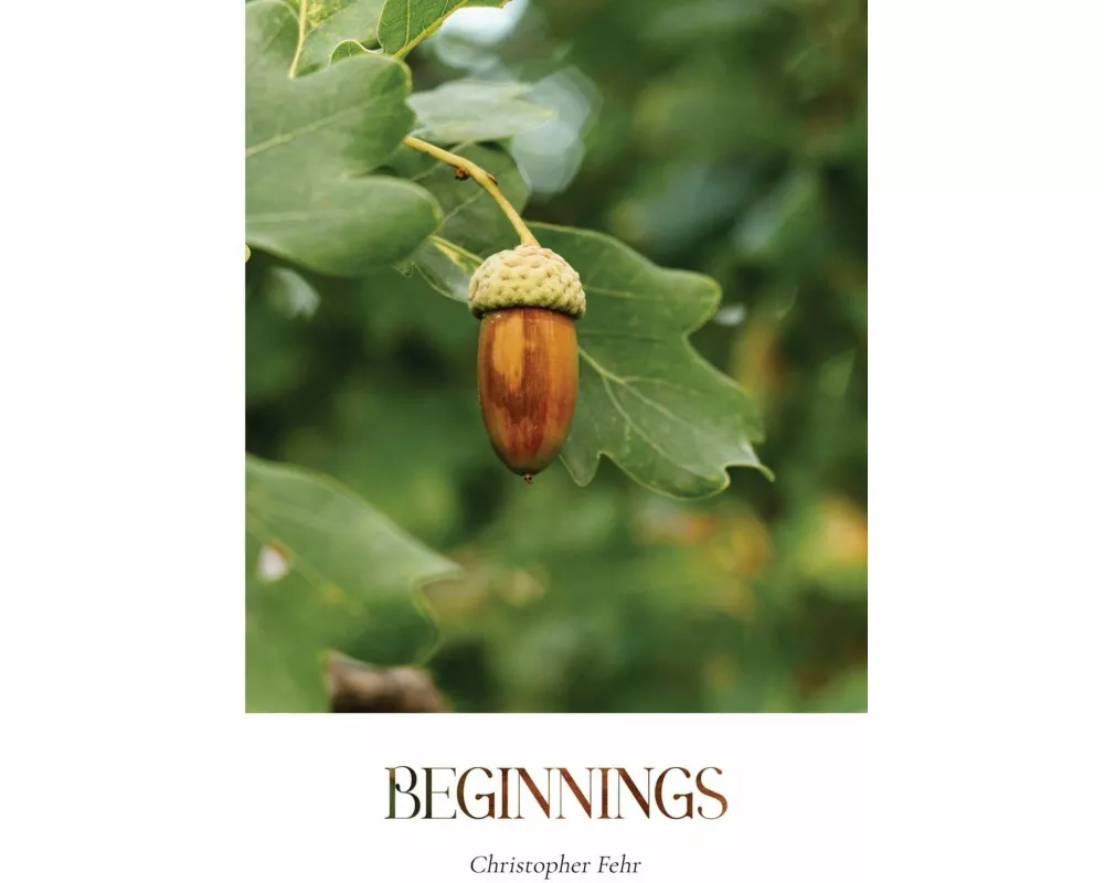 Beginnings