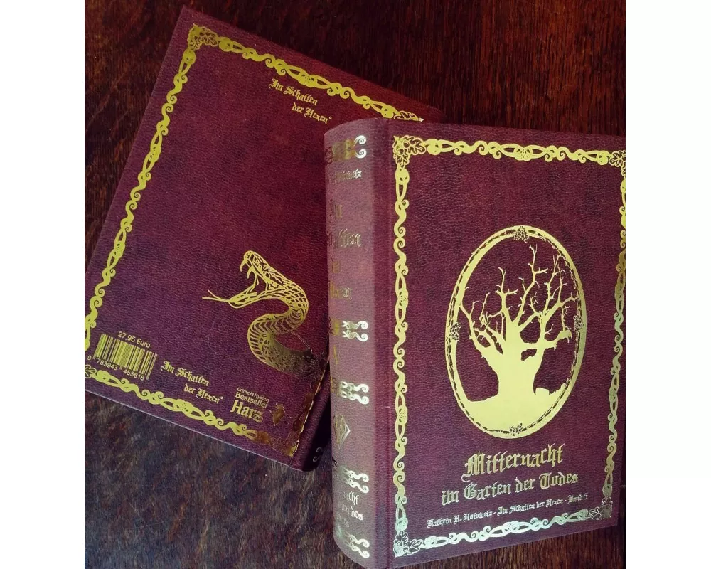 Im Schatten der Hexen V