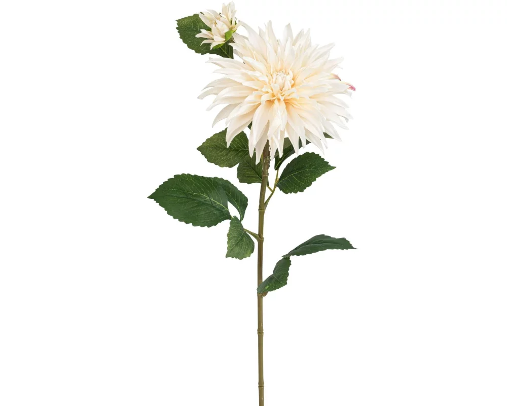 Botanic-Haus Kunstblume Dahlie, Elfenbein, 85 cm