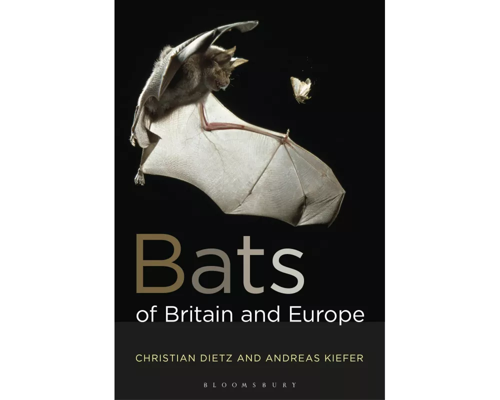 Bats of Britain and Europe