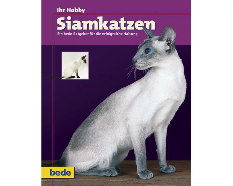 Ihr Hobby Siamkatzen