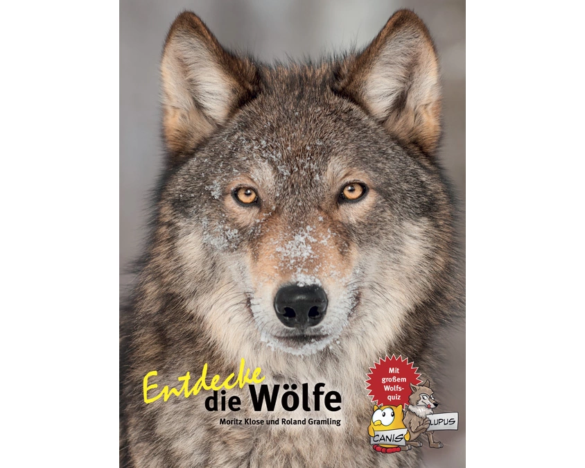 Entdecke die Wölfe