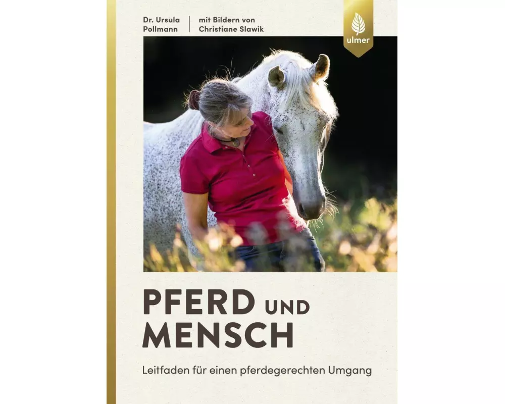 Pferd und Mensch