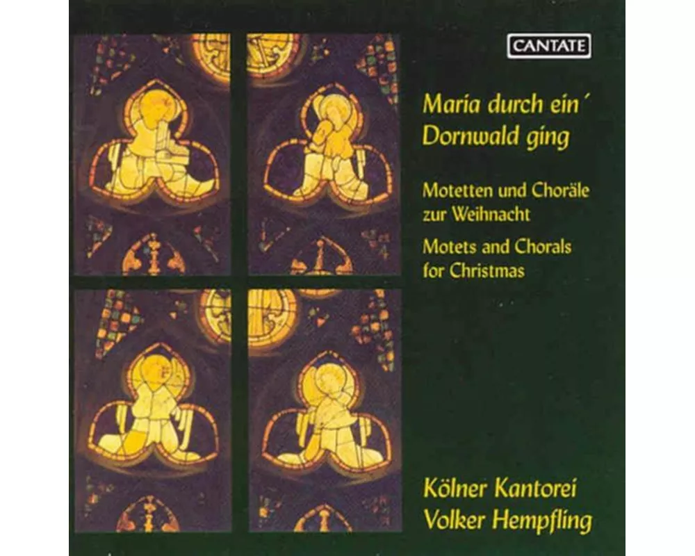 Maria durch ein Dornwald ging