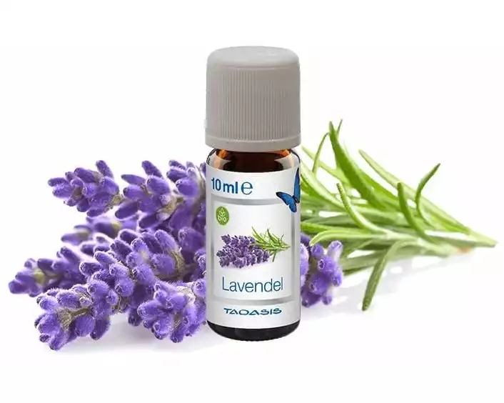 Venta Luftwäscher Duftöl Lavendel, 3 x 10 ml